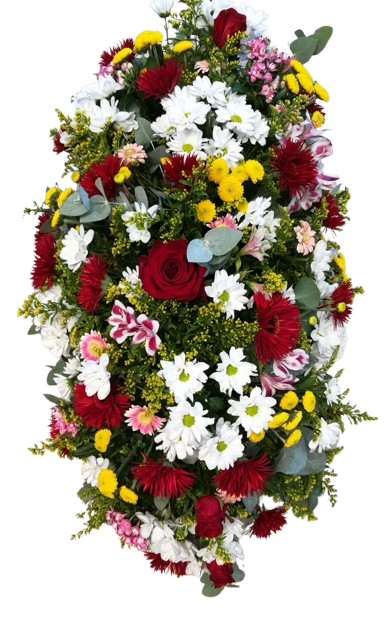 Coix� ref.15