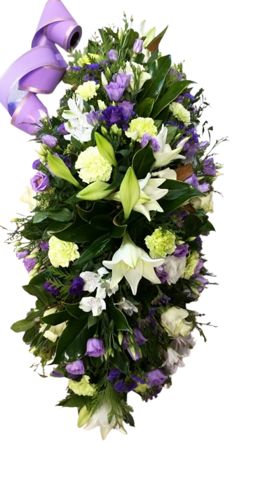 Coix� ref.10