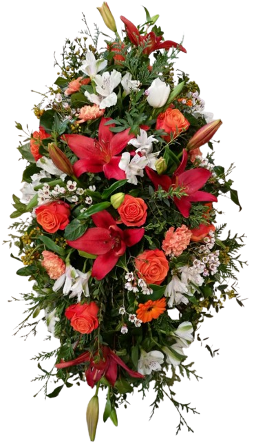 Coix� ref.11