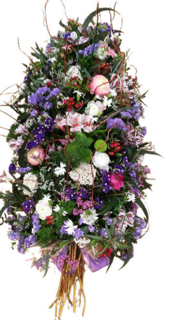 Coix� ref.20