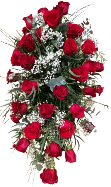 Coix� ref.17